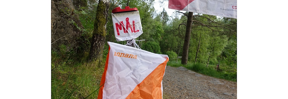Bedriftsløp i orientering, gateløp/ sprint